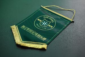 热身赛浙江队4-2广西恒宸，童磊、托利奇、刘浩帆、陶强龙破门